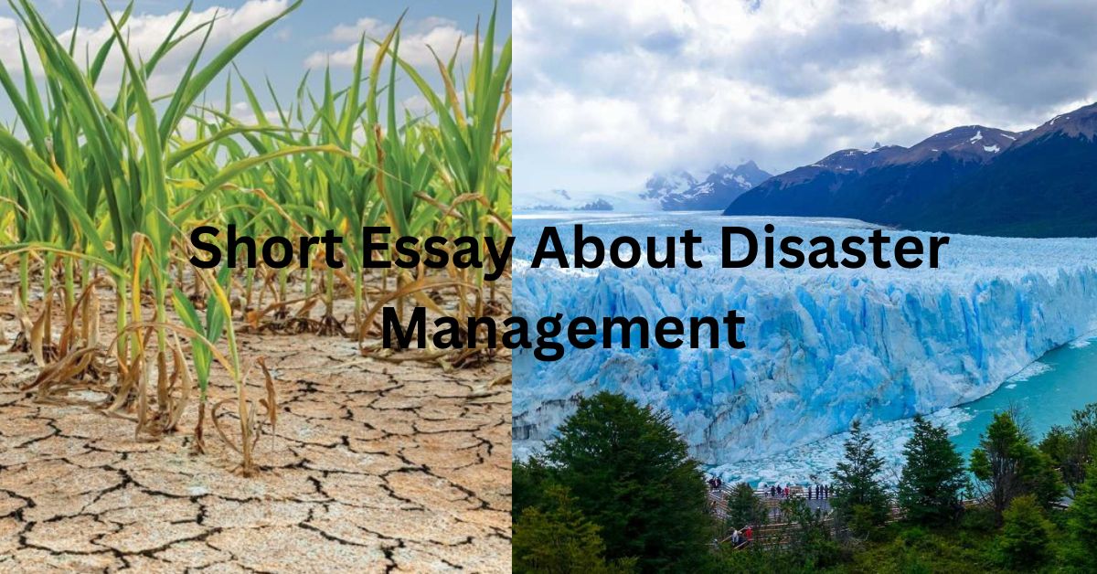 Short Essay About Disaster Management 