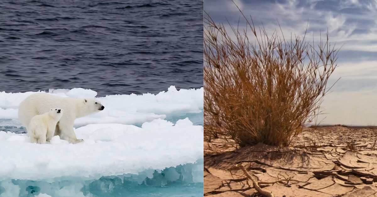 Trending Action on Climate Change
