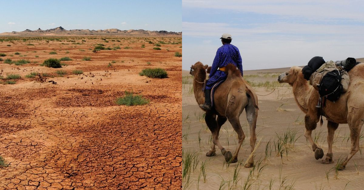 Best Climatical Deserts For Reaching Tourists