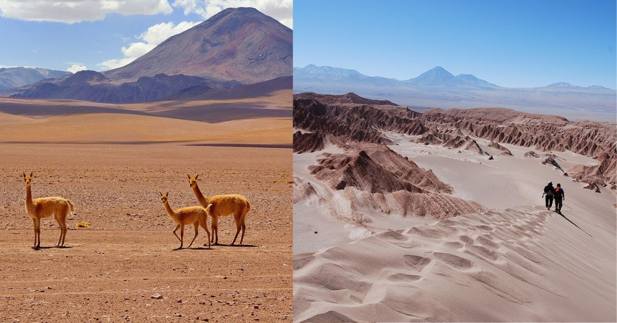 Best Climatical Deserts For Reaching Tourists