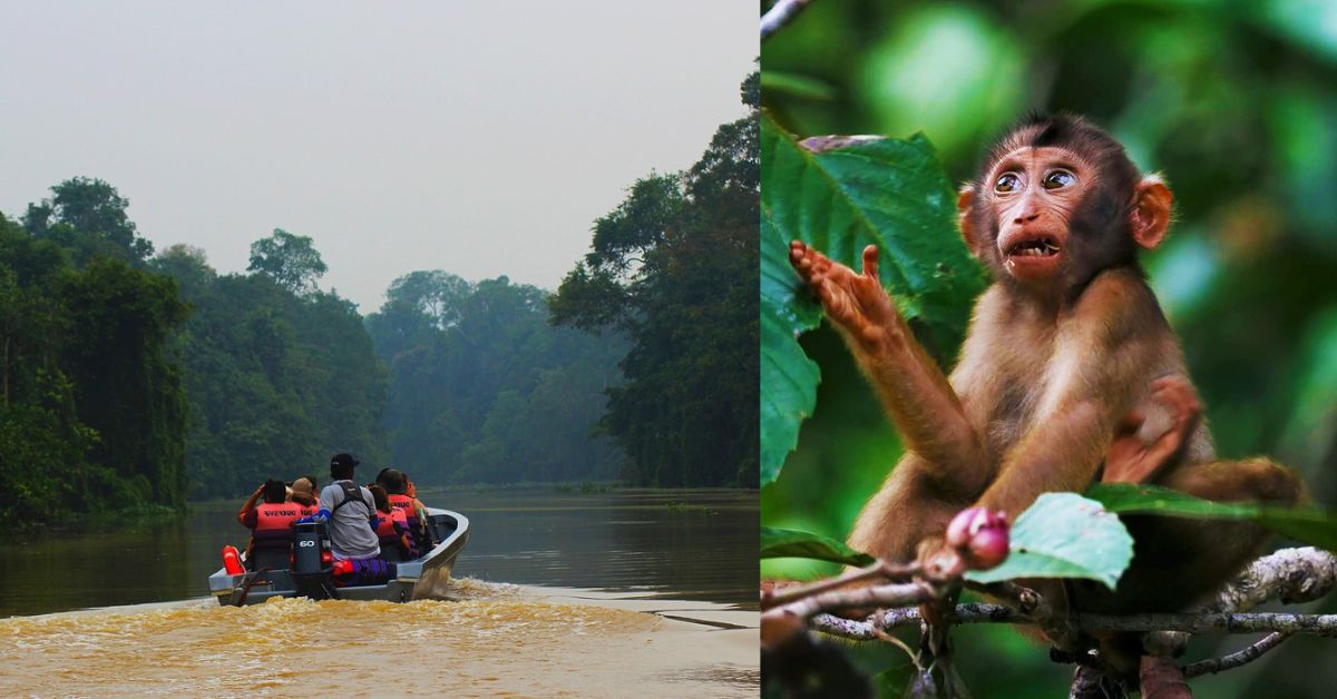 Tourist Reaching Forests and Climate