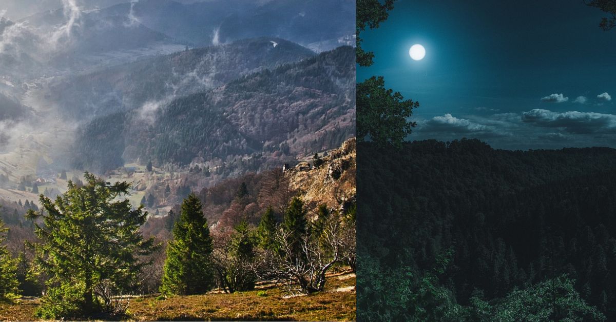 Tourist Reaching Forests and Climate