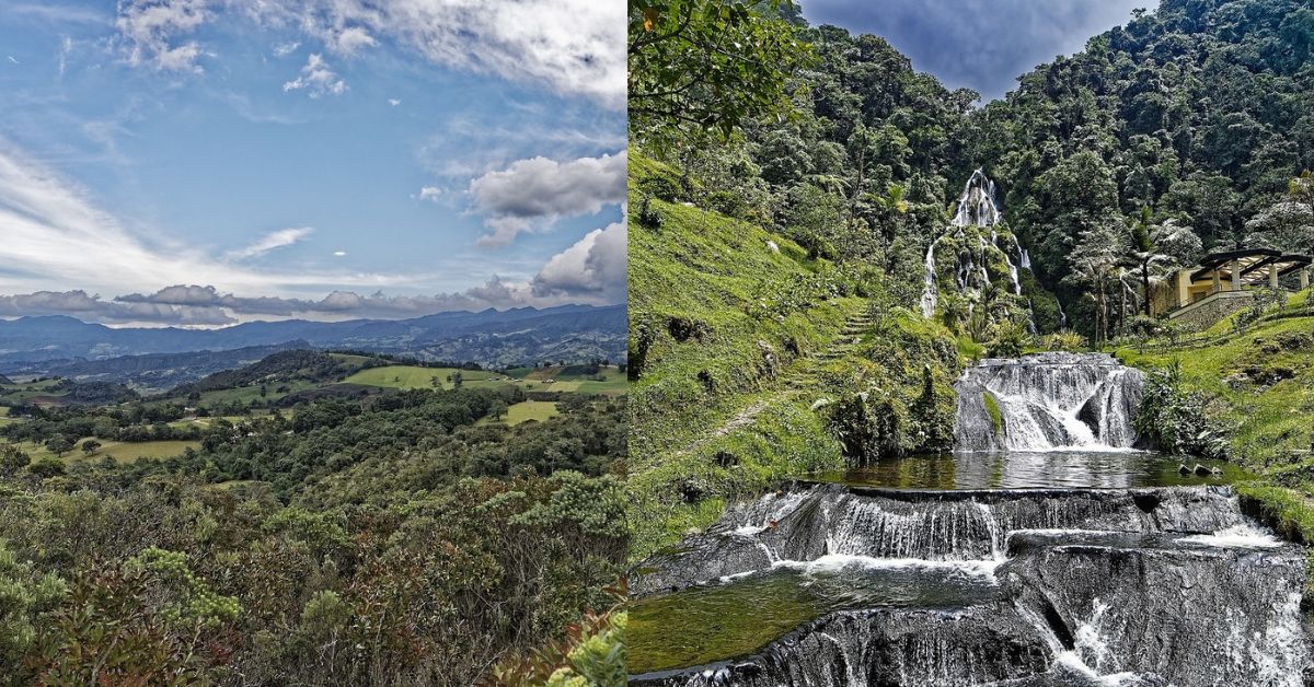 Tourist Reaching Forests and Climate