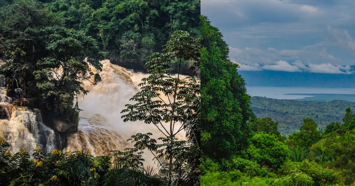 Tourist Reaching Forests and Climate